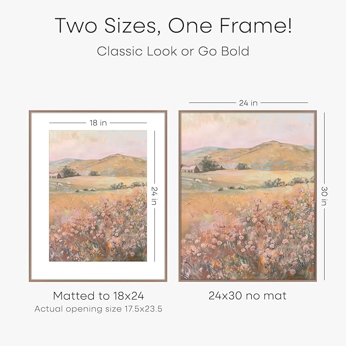 Homeforia 24x30 Poster Frame Mocha, High End Metal 24 x 30 Picture Frames with Mat 18 by 24 inches Photo, 24x30 Mocha Frame Matted to 18x24 Print, 30x24 Large Frame, Tempered Glass, Wall Kit, Set of 1