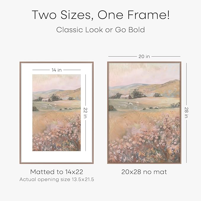 Homeforia 20 x 28 Picture Frame Mocha, High End Metal 20x28 Poster Frames with Mat 14x22 for Photo, 20 x 28 Mocha Frame Matted to 14 x 22 Print, 28x20 Hanging Frame, Tempered Glass, Wall Kit, Set of 1