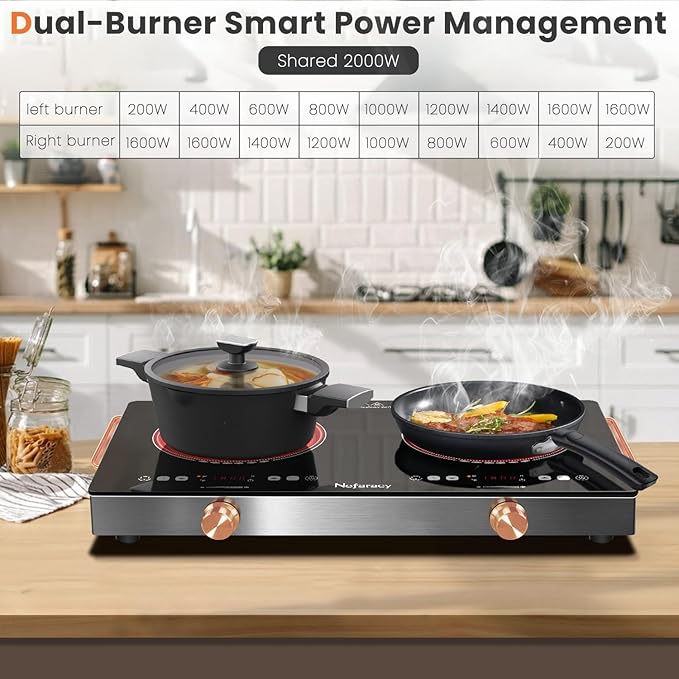 2 Burner Electric Cooktop 24 inch, 110-120V Plug in 2000W Ceramic Cooktop, Portable Electrics Stove with Handles,Touch & Knob Control, Safety Lock, 9 Heating Levels, 240Mins Timer, Overheat Protection