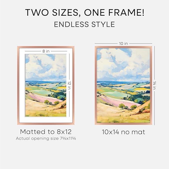 Homeforia 10x14 Picture Frame Rose Gold, High End Metal 10x14 Wall Hanging Frame with Mat 8x12, 10 x 14 Poster Frame Matted to 8 x 12 inch Photo, 10by14 Thin Frames, Tempered Glass, Wall Kit, Set of 1