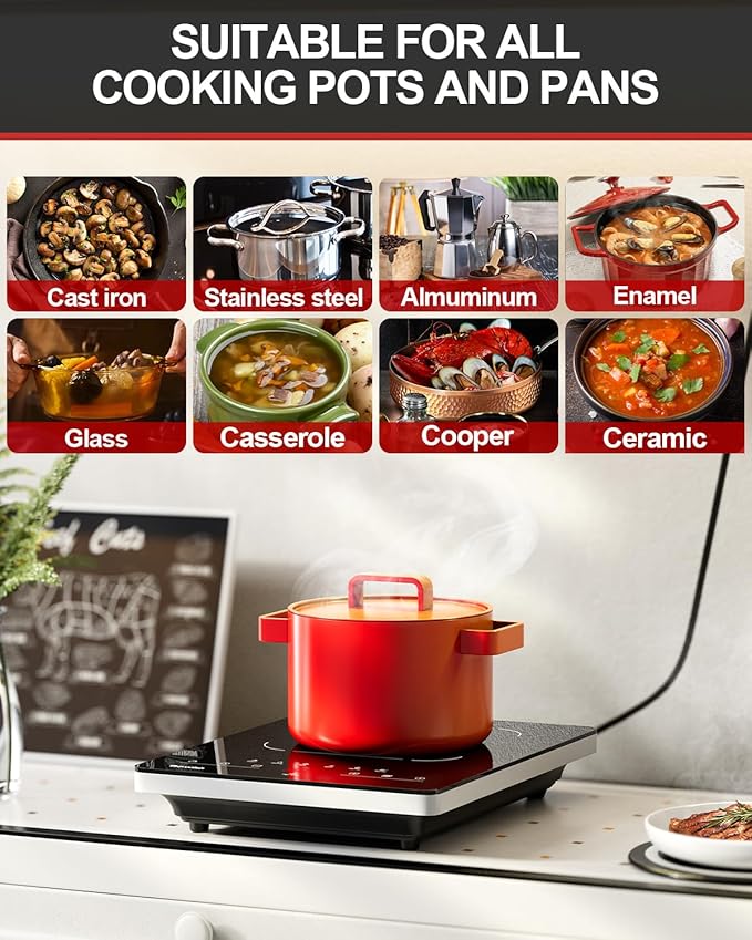Portable Electric Stove,110V Electric Hot Plate Single Burner Electric Cooktop Countertop Burner with 6 Preset Functions,10 Power Levels,LED Touch Control, Child Lock &Timer