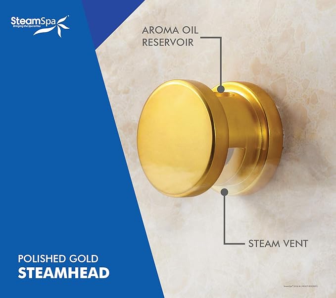 STEAMSPA 7.5kW Steam Sauna Generator Sentry Series 240V Steam Generator with Touch Screen, Steamhead, Built-in Steam Shower Auto Drain, ACU Quickstart Steam Bath Generator (Gold)