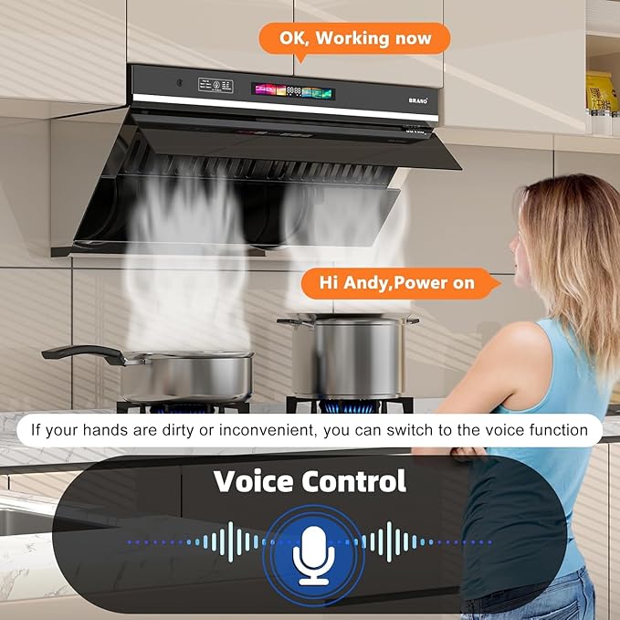 Under Cabinet Range Hood 30 inch, 900 CFM Kitchen Hood with Voice/Gesture/Touch Control,Ducted/Ductless Convertible Stainless Steel Range Hood, 4 Speed Exhaust Fan,Adjustable Lights