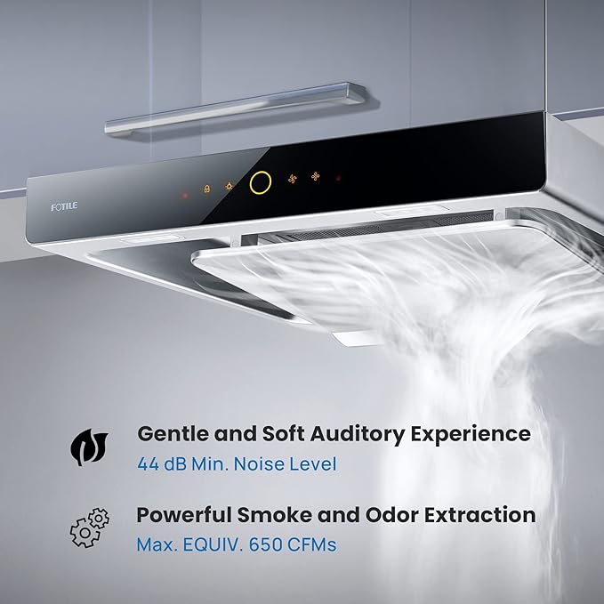 FOTILE EMS6008-CR 24" Wall-mount Recirculating Range Hood with Touchscreen, 3 Speed-settings and Auto Turbo Mode | Manual-adjustable Capture Shield Technology | Delay Shuoff and Detachable Oil Plate