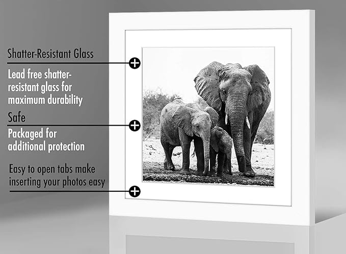 Americanflat 11x11 Picture Frame with Shatter-Resistant Glass - Use as 8x8 Frame with Mat or Display 11x11 Photo Without Mat - Signature Collection - Square Frames for Wall Display - White