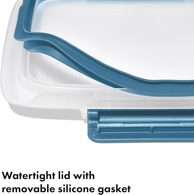 OXO Good Grips Prep and Go Divided Container - Ocean Blue