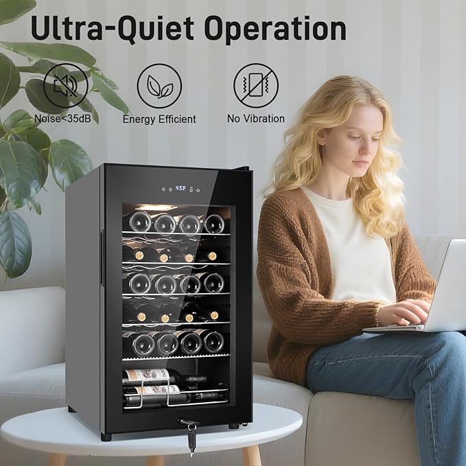 Tylza 24 Bottles Wine Fridge, Wine Cellar with Powerful Compressor, LED Touchscreen, Low-E Tempered Glass Door, Lock, Wine Cooler Refrigerator for Red, White, Champagne or Sparkling Wine, Black