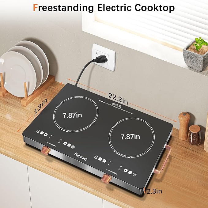 2 Burner Electric Cooktop 24 inch, 110-120V Plug in 2000W Ceramic Cooktop, Portable Electrics Stove with Handles,Touch & Knob Control, Safety Lock, 9 Heating Levels, 240Mins Timer, Overheat Protection
