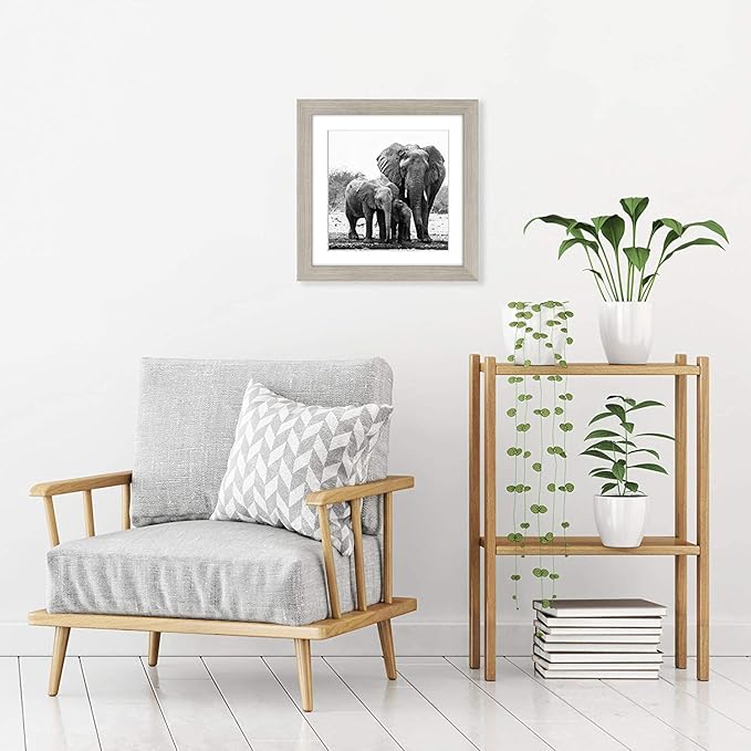 Americanflat 11x11 Picture Frame with Shatter-Resistant Glass - Use as 8x8 Frame with Mat or Display 11x11 Photo Without Mat - Signature Collection - Square Frames for Wall Display - Driftwood