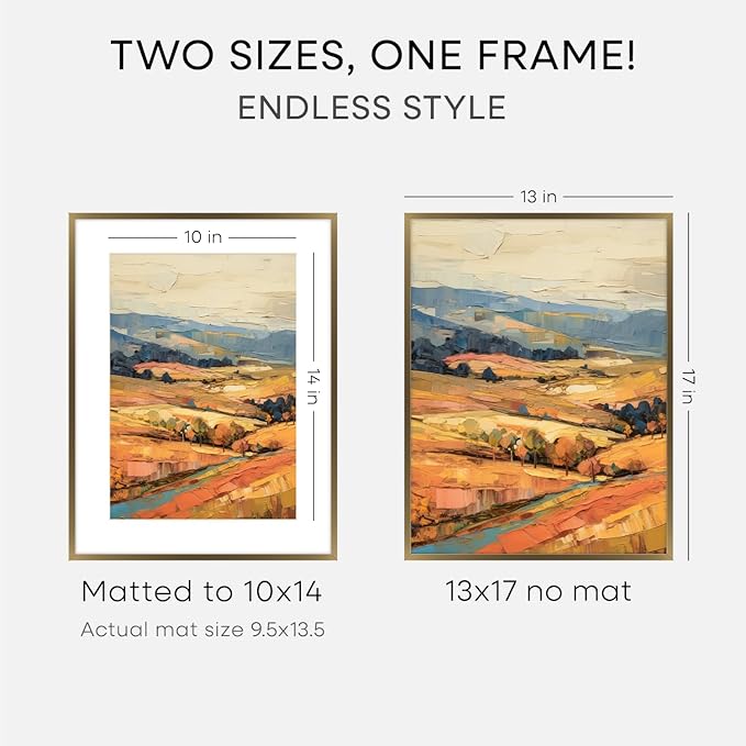 Homeforia 13x17 Picture Frame Bronze, High End Metal 13x17 Brass Poster Frames with Mat 10x14 Photo, 13 x 17 Frame Matted to 10 by 14 inch Print, 17by13 Thin Frames, Tempered Glass, Wall Kit, Set of 1