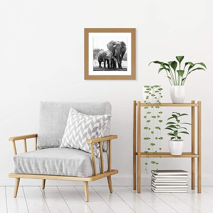 Americanflat 11x11 Picture Frame with Shatter-Resistant Glass - Use as 8x8 Frame with Mat or Display 11x11 Photo Without Mat - Signature Collection - Square Frames for Wall Display - Dark Oak