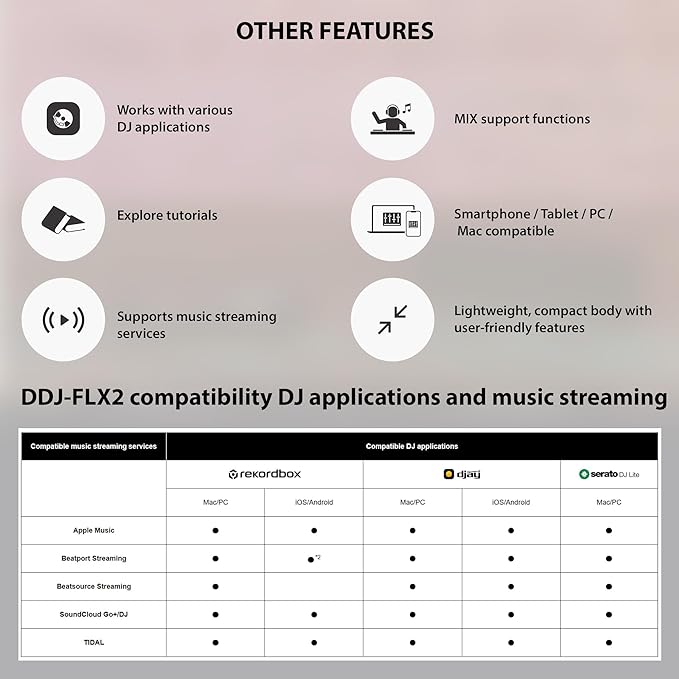 Pioneer DJ AlphaTheta DDJ-FLX2 Compact 2-Channel DJ Controller Bundle with Case, Instrument Cable, and Austin Bazaar Polishing Cloth