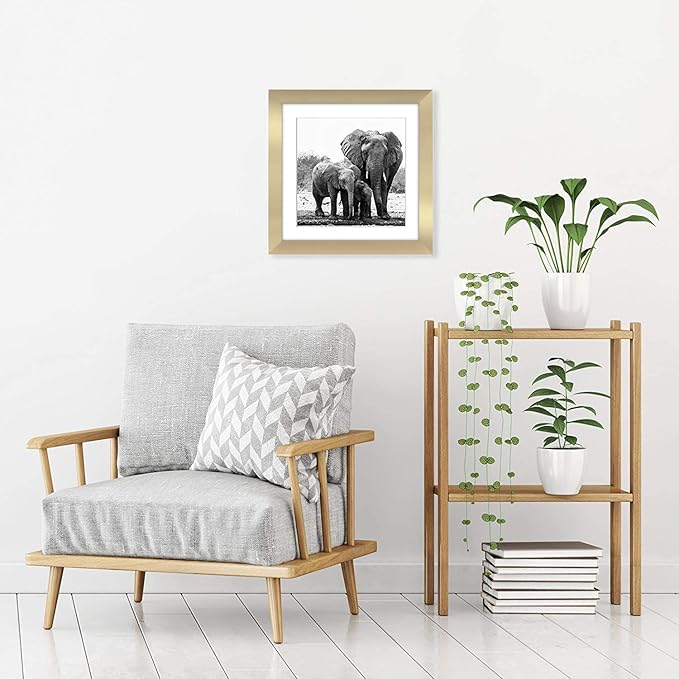 Americanflat 11x11 Picture Frame with Shatter-Resistant Glass - Use as 8x8 Frame with Mat or Display 11x11 Photo Without Mat - Signature Collection - Square Frames for Wall Display - Gold