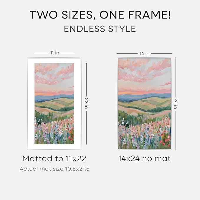 Homeforia 14x24 Picture Frame Silver, High End Metal 14x24 Frames with Mat 11x22 for Photo, 14 x 24 Silver Poster Frame Matted to 11 x 22 Print, 24x14 Hanging Frame, Tempered Glass, Wall Kit, Set of 3