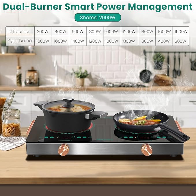 2 Burner Electric Cooktop 24 Inch, 110V 2000W Portable Electrics Stove Top with Handle, 9 Power Settings, Senor Touch & Knob Control, Safety Lock, Timer, 110-120V Plug in (2 Burner Green)