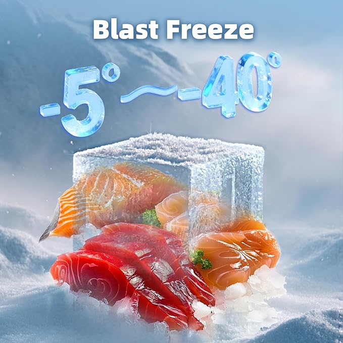 Commercial Blast Chiller 5 Trays, Shock Freezing Blast Chiller & Freezer Heavy Duty, Flash Freezer for Ice Cream, Seafood, Desserts, Meat-Lowest Temperature -40°C