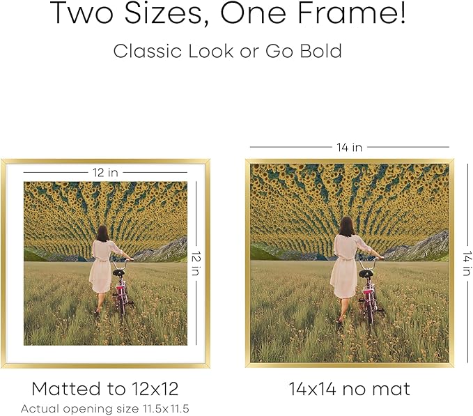 Homeforia 14x14 Picture Frame Gold, High End Metal 14 x 14 Square Poster Frame with Mat 12 x 12 Photo, 14x14 Frame Matted to 12x12 Print, 14by14 Gold Hanging Frames, Tempered Glass, Wall Kit, Set of 4