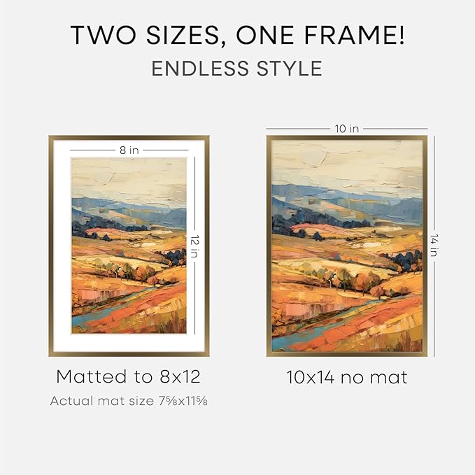 Homeforia 10x14 Bronze Picture Frame, High End Metal 10x14 Brass Frame with Mat 8x12, 10 x 14 Poster Frames Matted to 8 x 12 inch Photo, 10 by 14 Bronze Thin Frames, Tempered Glass, Wall Kit, Set of 1