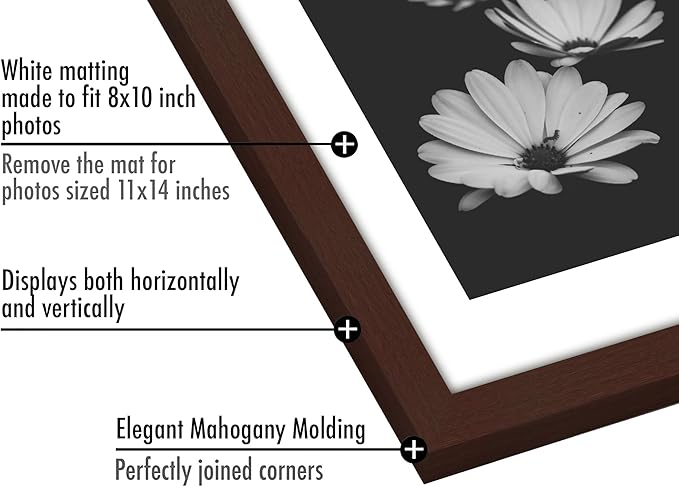 Americanflat 11x14 Picture Frame with Polished Plexiglass - Set of 5 - Use as 8x10 Frame with Mat or Display 11x14 Photo Without Mat - Galleria Collection - Picture Frames for Wall Display - Mahogany