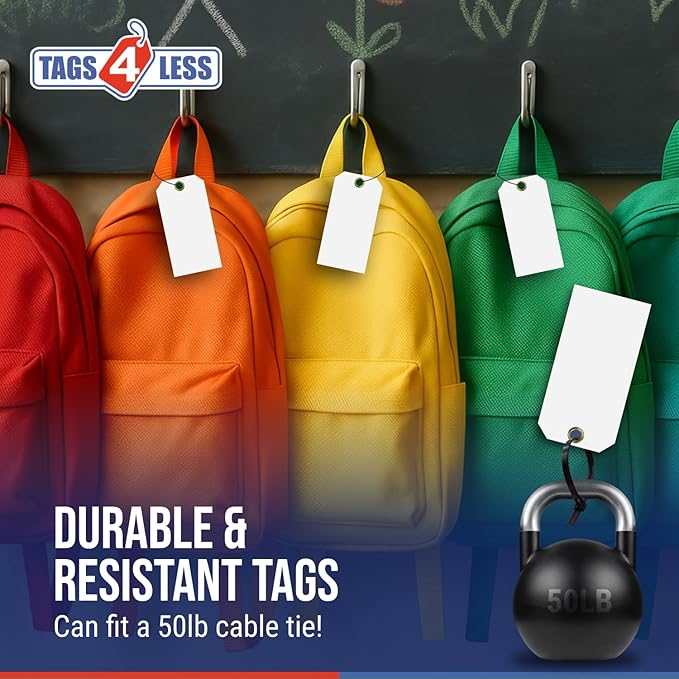 Tags 4 Less 15 Mil Waterproof Plastic Tags, Pack of 100 – 2” x 4” Heavy Duty Plastic Tags for Labeling, Outdoor Tagging, Equipment Labeling, Luggage, Valves & More (Dark Green)