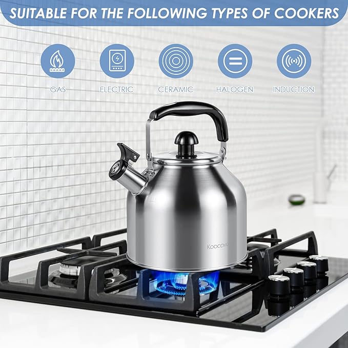 Whistling Tea Kettle for Stove Top,304 Stainless Steel Tea Kettles,4L/4.2QT Tea Kettles for Kitchen,Camping,Traveling,Portable,Fast to Boil