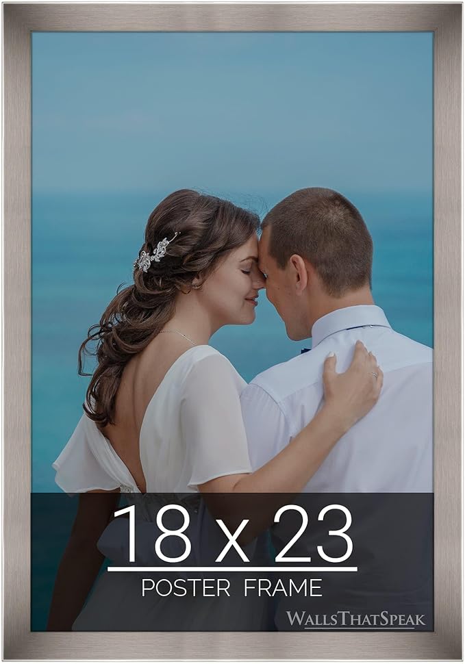 wallsthatspeak 18x23 Stainless Picture Frame for Puzzles Posters Photos or Artwork