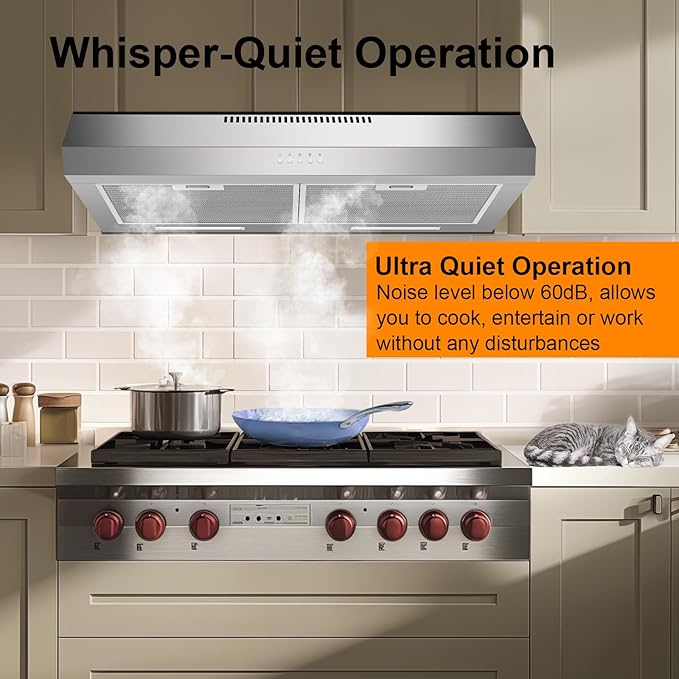Range Hood 30 Inch Under Cabinet, 600 CFM Ducted/Ductless Vent Hood for Kitchen, Stove Vent with Bright LED Lights, Reusable Filters and 3 Speed Exhaust Fan