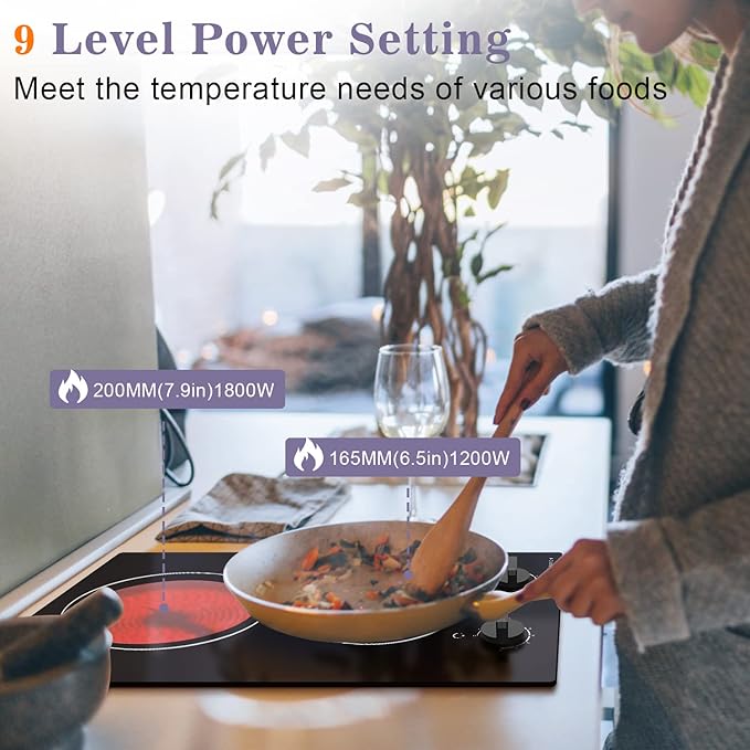 2 Burner Electric Cooktop, Noxton 12 inch Built-in Electric Stove Top, 3000W 220-240v Ceramic Cooktop with Knob Control 9 Heating Level, Hot Warning, Hardwired, No plug