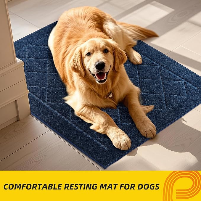 JSEI Dirt Trapper Door Mat 20"x32", Non-Slip Washable Entryway Mats, Dog Door Mat, Stain Resistant and Absorbent Floor Mats, Low Profile Welcome Mat for Front Back Door, Navy Blue