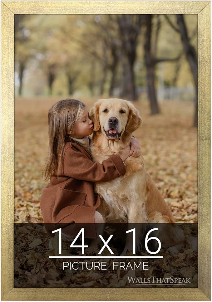 wallsthatspeak 14x16 Gold Picture Frame for Puzzles Posters Photos or Artwork