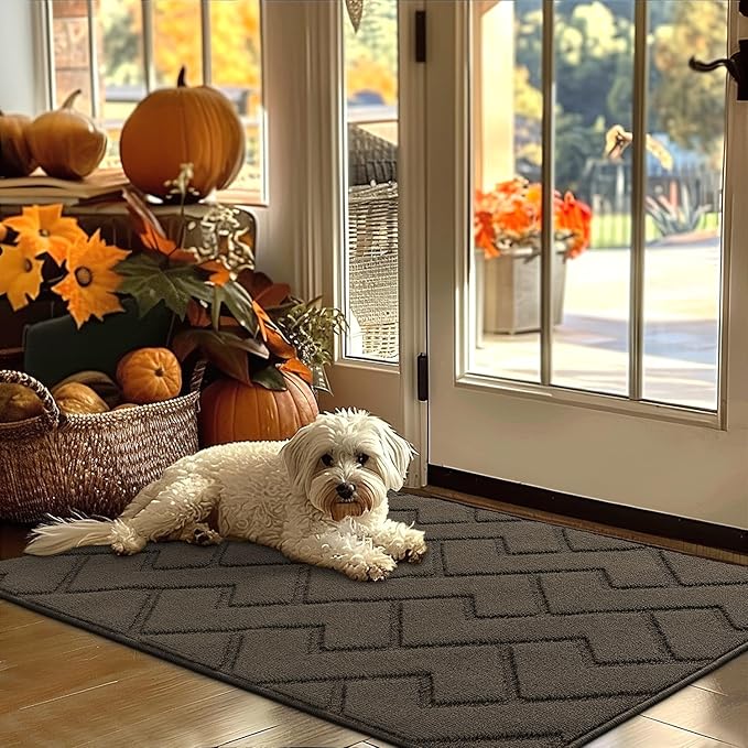 hicorfe Indoor Door Mat,Non Slip Door Mats,32"x48" Front Back Door Mat Rubber Backing,Absorbent Resist Dirt Entrance Inside Floor Mats for Entryway Washable Low-Profile(Latte)