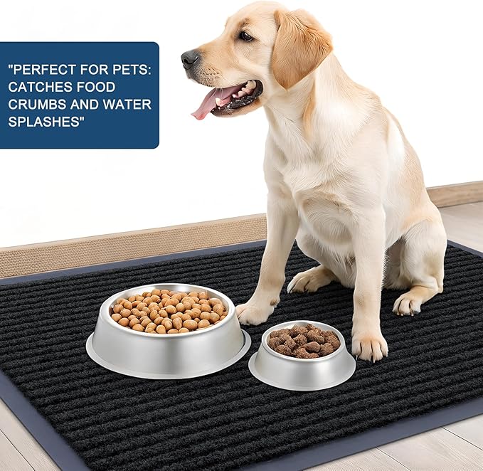 OLANLY Front Door Mat Indoor Outdoor Entrance, Waterproof Heavy Duty Doormat, Fade Resistant, Low Profile, Easy Clean Patio Porch Welcome Floor Mats for Entry, 47x34, Black