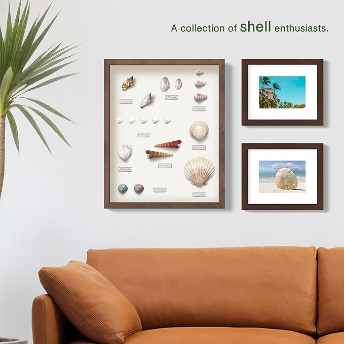 FrameWorks 11x11 Driftwood Wooden Shadow Box Frame – Soft Felt Back, Tempered Glass, and Included Elegant White Ball Push Pins