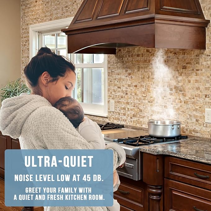 Akicon Range Hood Insert 30 Inch, Ultra Quiet, Powerful Suction Built-in Kitchen Vent Hood, Matte Black Stainless Steel Ducted Stove Hood with Dimmable LED Lights, 3-Speeds 600CFM