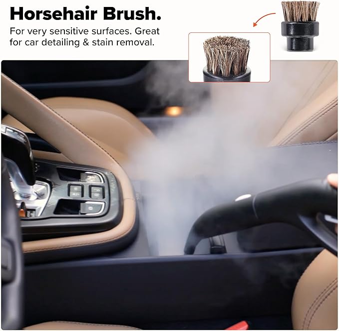 Dupray Small Brushes – Brass, Horsehair, Nylon & Stainless Steel Accessory Parts for Steam Cleaner – Brush Head for Cleaning Grout, Tile, Oven, Car, BBQ, Kitchen and Bathroom (10) (Assorted Brushes)