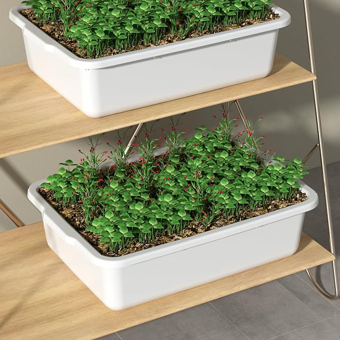 4 Packs 23 Liters Food Service Bus Tub, Plastic Bus Tote Wash Tubs, White