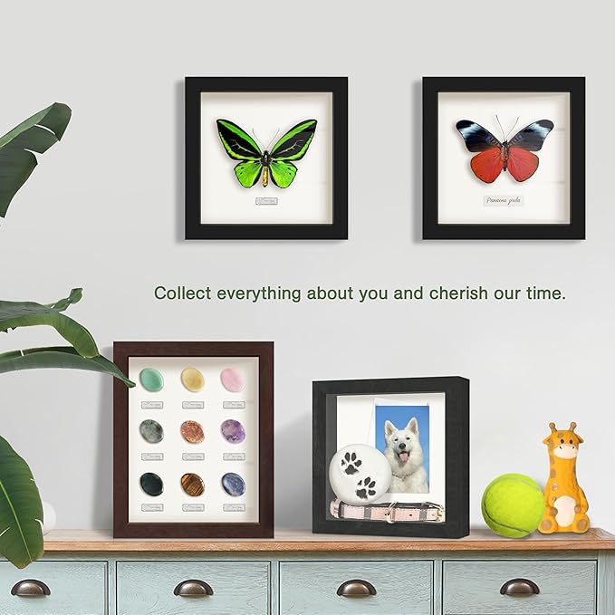 FrameWorks 8x10 Driftwood Wooden Shadow Box Frame – Soft Felt Back, Tempered Glass, and Included Elegant White Ball Push Pins