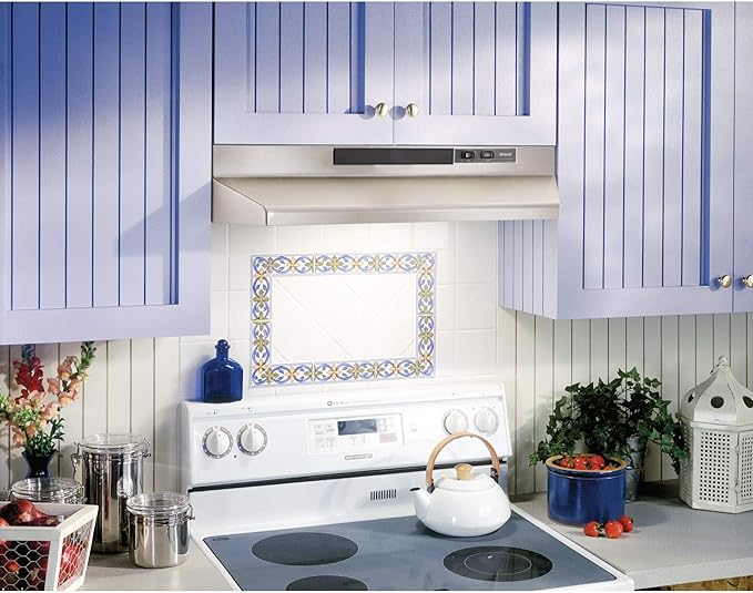 BROAN F403004 Broan(R) 30-Inch Convertible Under-Cabinet Range Hood, 160 CFM, Stainless Steel