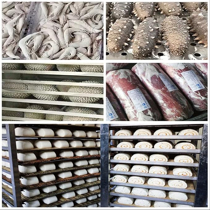 Kolice Commercial 3 Trays Blast Chiller,Chest Freezer,Dumpling Freezer, Batch Freezer for Ice Cream, Cake, Chicken, Pastry, Beef, Seafood, Dessert etc In Hotel,Restaurant,Bakery,Dessert Shop
