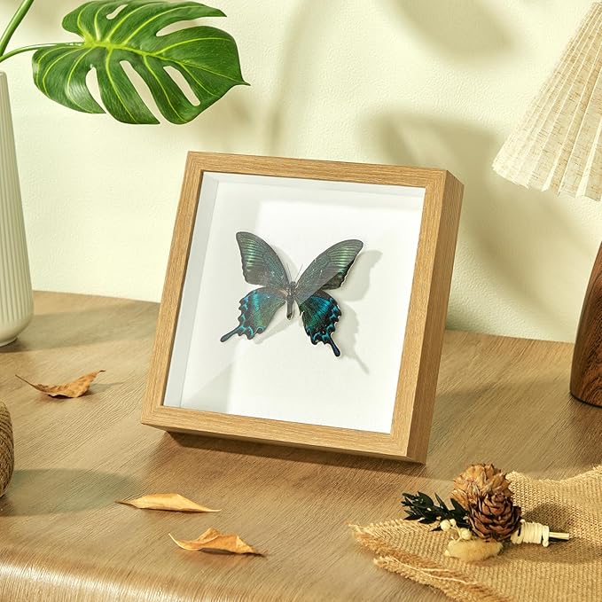 8x8 Shadow Box Display Case Picture Frame with Soft Linen Back,Large Wood Color Shadow Box 8x8 for Flowers Medal Display Case Jersey pet Graduation Memorabilia Baby Ltems Crafts Photos