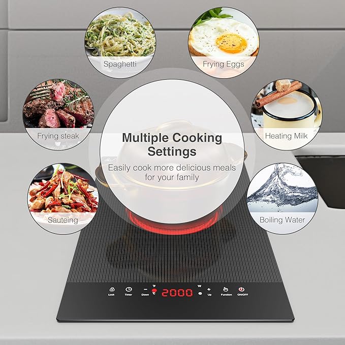VBGK Electric Cooktop,110V Electric Stove Top,Single Burner Electric Cooktop LED Touch Control,9 Power Levels, Kids Lock &Timer,Overheat Protection,2000W Portable Burner