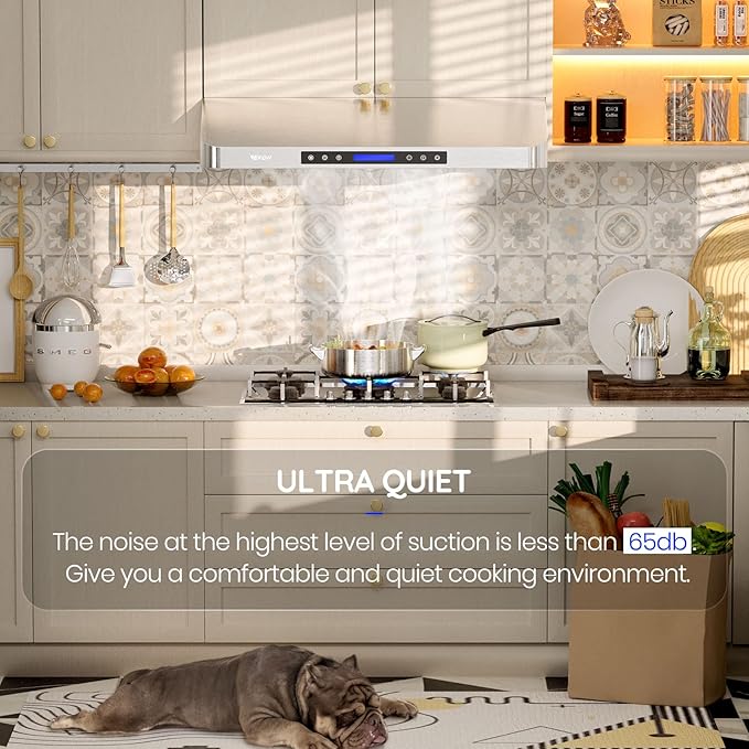 EKON 42 inches Under Cabinet Range Hood, 900 CFM Stainless Steel Kitchen Chimney Vent, 4 Speed Touch Screen Control With Remote 2Pcs 3W LED lights Dishwasher-safe Filters Fan Timer