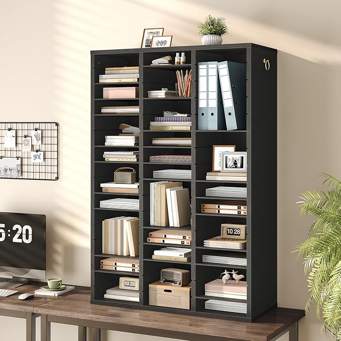 HOOBRO Literature Organizer, 48 Compartments Wooden Mail Organizer, Countertop Literature Sorter with Adjustable Shelves for Home, Office, School, Student Mailbox for Classroom, Black BK163WF01