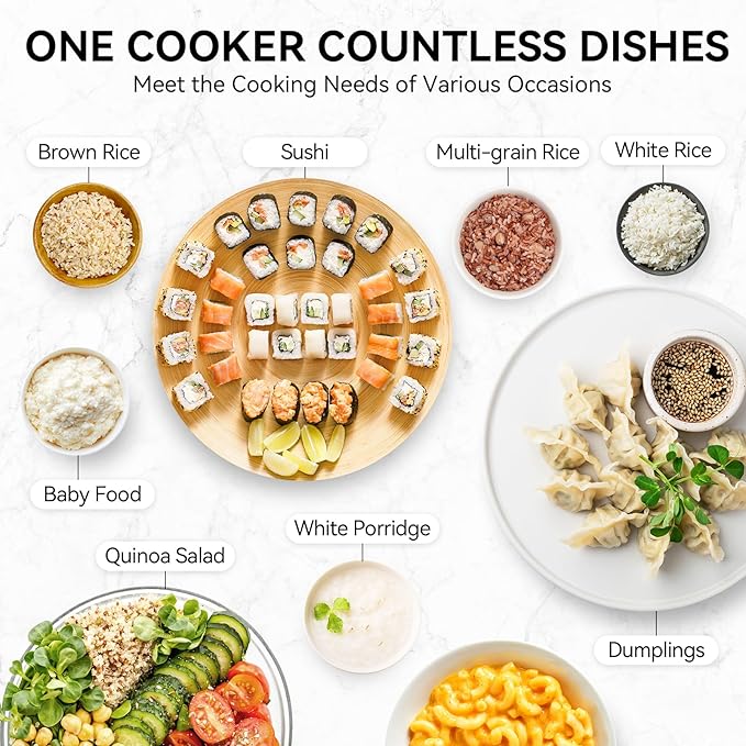 Rice Cooker 2 Cup Uncooked, Mini Rice Cooker Small Electric Cooker with 4 Cooking Functions, 24 Hour Preset, Heat Preservation, Non-Stick Ceramic Coating for 1-2 People