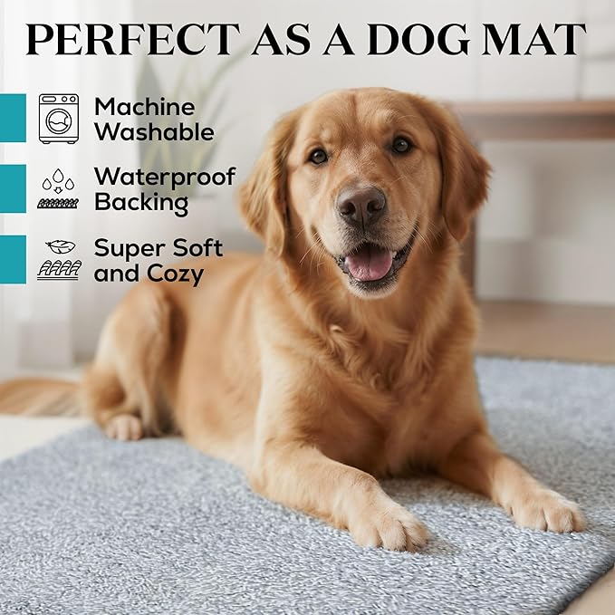 Premium Microfiber Indoor Door Mat – 32"x48" Washable Entry Mat, Non-Slip, Waterproof Backing, Super Absorbent, Low Profile Entryway Doormat for Indoor Entrance