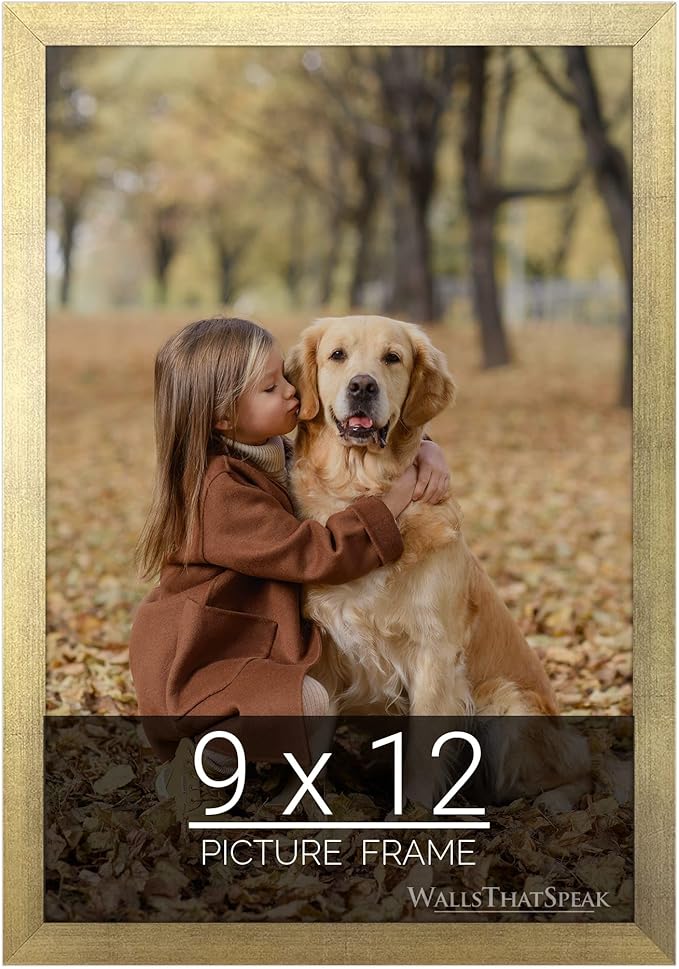 wallsthatspeak 9x12 Gold Picture Frame for Puzzles Posters Photos or Artwork