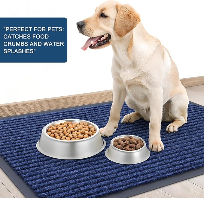 OLANLY Front Door Mat Indoor Outdoor Entrance, Waterproof Heavy Duty Doormat, Fade Resistant, Low Profile, Easy Clean Patio Porch Welcome Floor Mats for Entry, 59x40, Blue