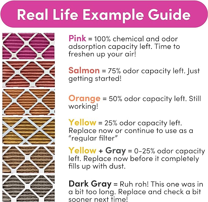 Colorfil 20x25x1 Air Filter (2-Pack) | Made in the USA | Color Changing | Remove Cat and Dog Odor | MERV 8 for Pet Hair Dander and Dust | 19.5"x24.5"x0.75" Exact Size