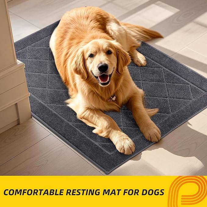 JSEI Dirt Trapper Door Mat 32"x48", Non-Slip Washable Entryway Mats, Dog Door Mat, Stain Resistant and Absorbent Floor Mats, Low Profile Welcome Mat for Front Back Door, Dark Grey