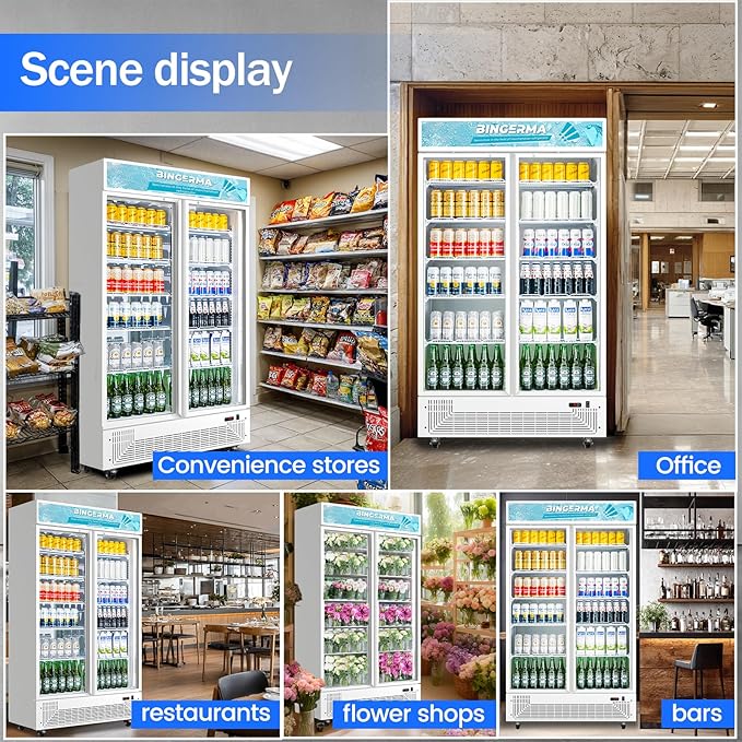 Commercial Merchandiser Display Refrigerator with 2 Glass Doors 30 Cu.ft Beverage Back Bar Cooler Black Drink Fridge for Convenience Stores, Supermarkets,Bars,Offices White